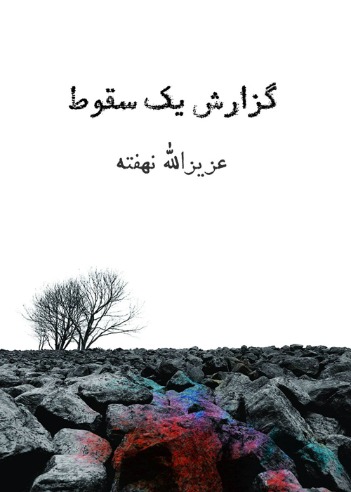 رمان «گزارش یک سقوط»