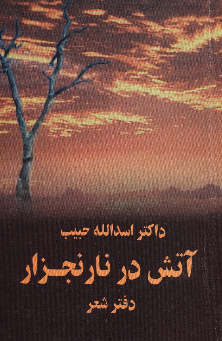 مجموعه شعر «آتش در نارنج‌زار»