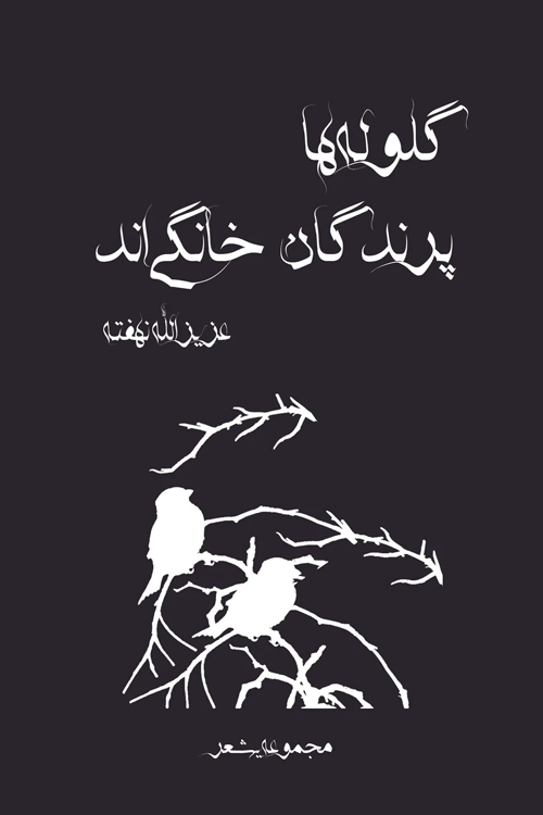 مجموعه شعر «گلوله ها پرندگان خانگی اند»