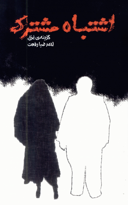 مجموعه شعر «اشتباه مشترک»