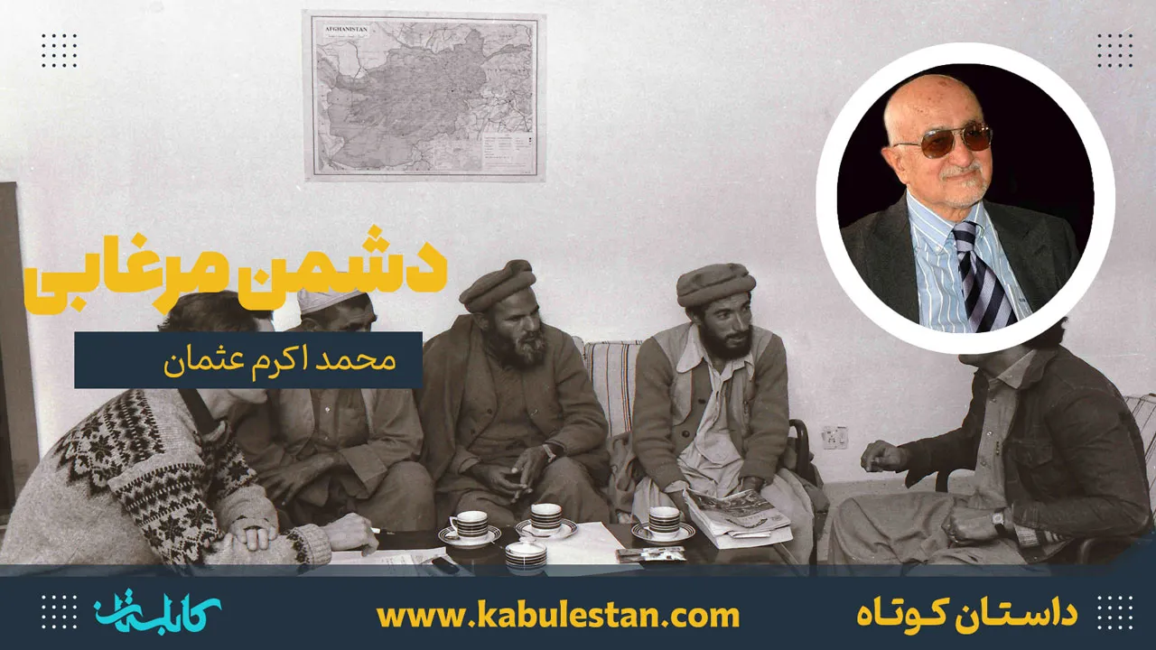 داستان کوتاه «دشمن مرغابی»