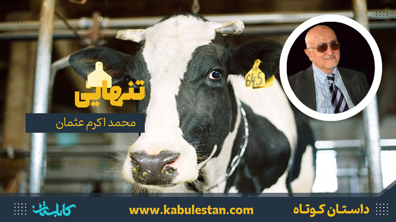 داستان کوتاه «تنهایی»