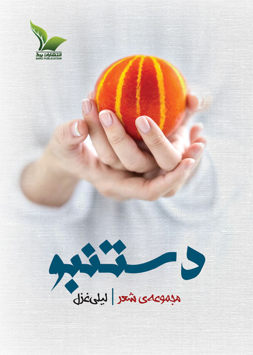 مجموعه شعر «دستنبو»