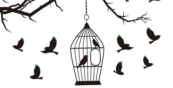 داستان کوتاه «باغ»