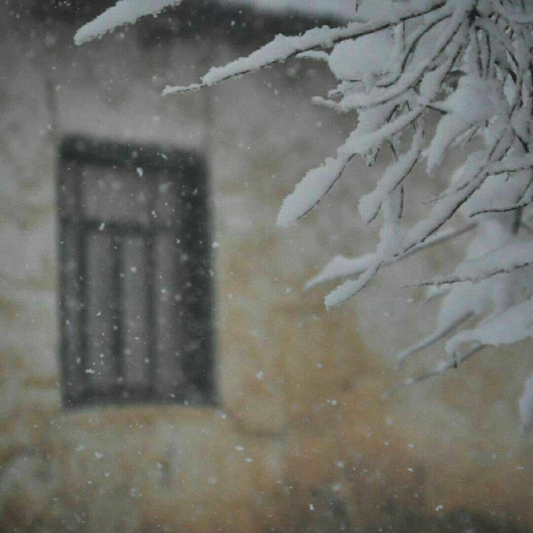 داستان کوتاه «برف سرخ»