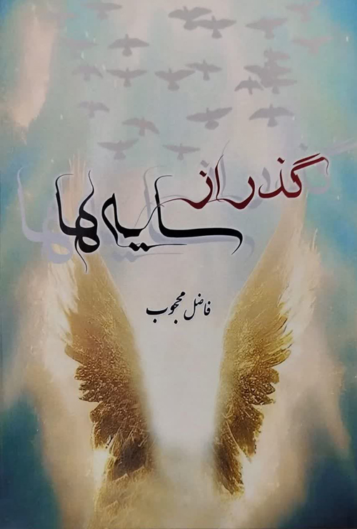 مجموعه شعر «گذر از سایه‌ها»