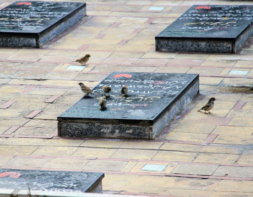 داستان کوتاه «سطل های آب و خریطه های ارزن»