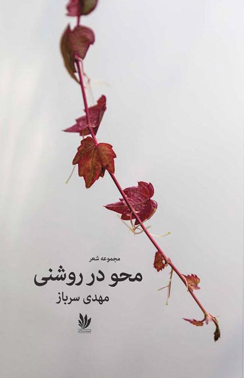 مجموعه‌ شعر «محو در روشنی»