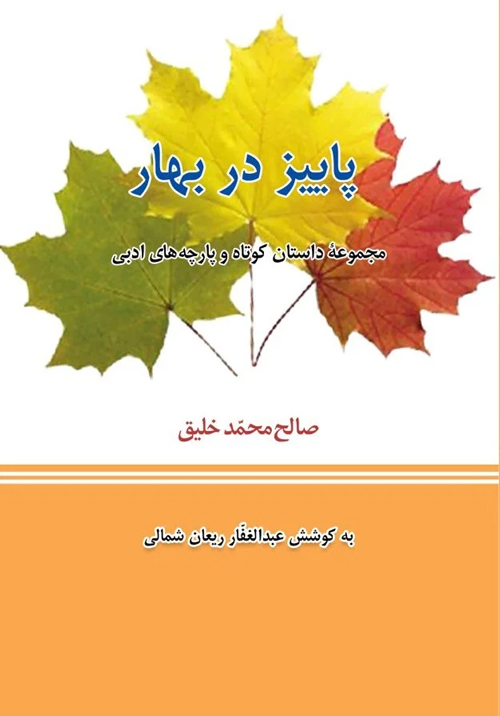 مجموعه داستان «پاییز در بهار»