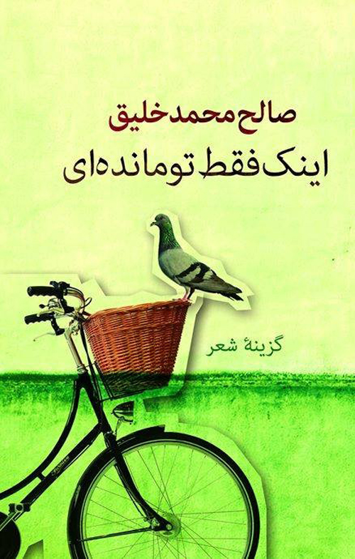 مجموعه‌ شعر «اینک فقط تو مانده ای»
