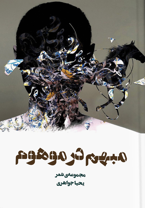 مجموعه شعر «مبهم در موهوم»