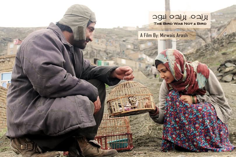 فیلم «پرنده، پرنده نبود»