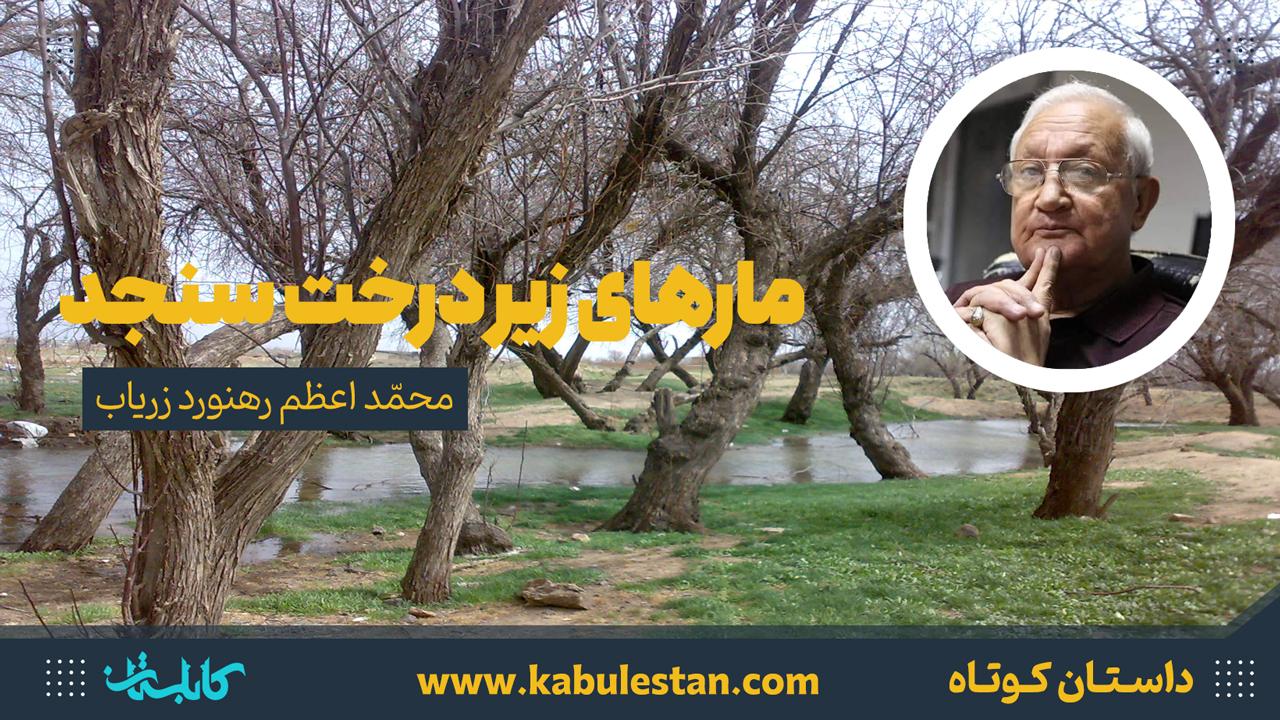 داستان کوتاه «مارهای زیر درخت سنجد»