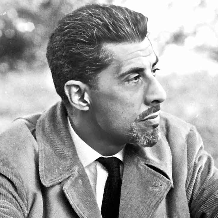 ادریس شاه