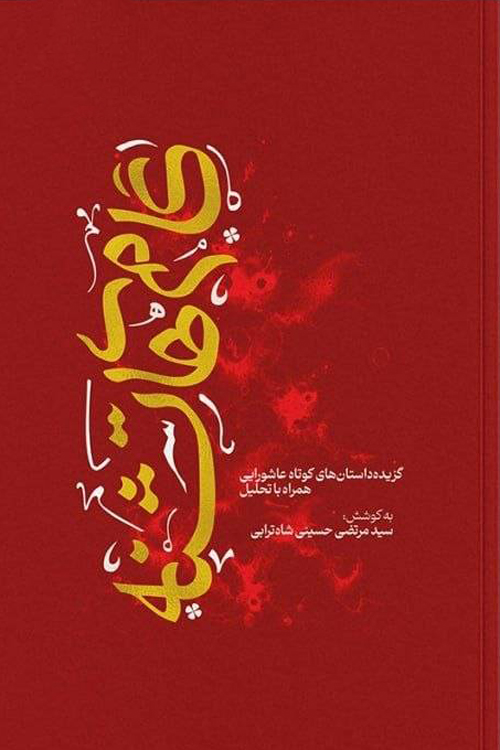کتاب «گام‌های تشنه»