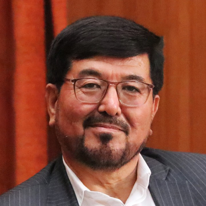 شوکت علی محمدی شاری