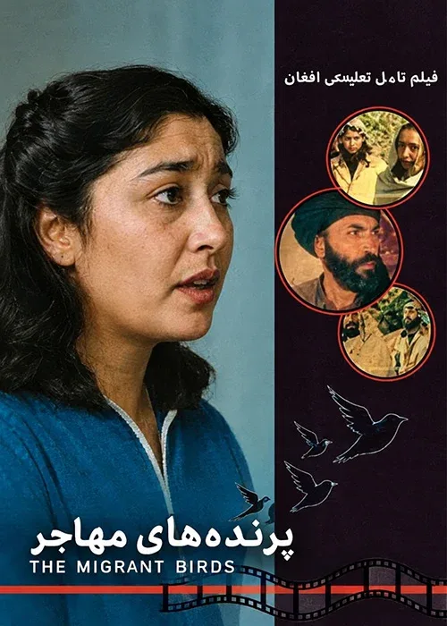 فیلم «پرنده های مهاجر»